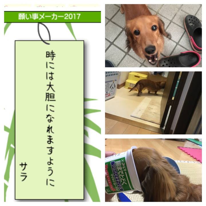 A09f2c99 6a71 4b7c abbf 2871397f6c85