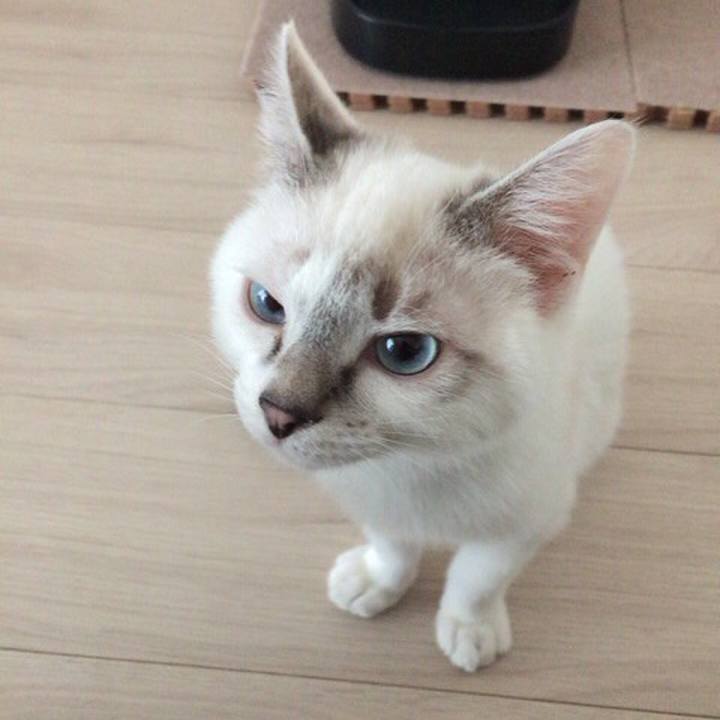 A09f40d4 eace 4e5e b217 feea38a9245e