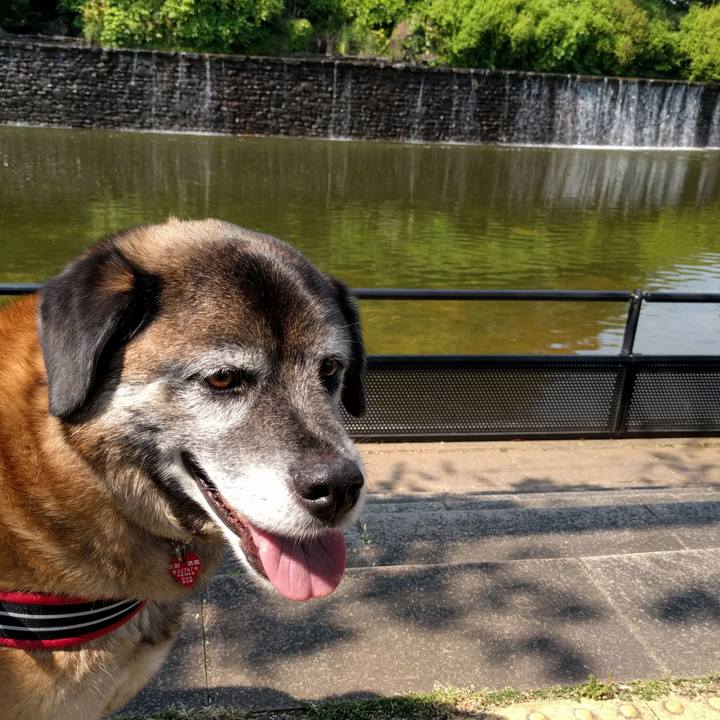 A09f7953 ef94 4651 87d0 51248bca504a