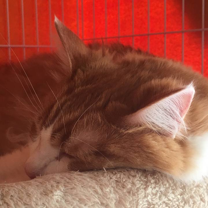 A0a060cd 7db6 4145 8402 c3d9b0af4c7d