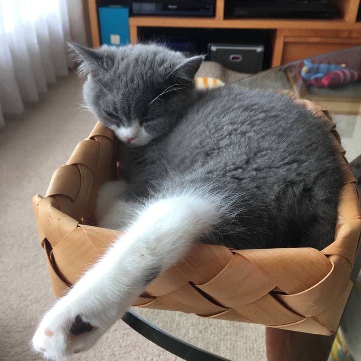 A0a07412 f863 4fb7 9b51 a08844a00416