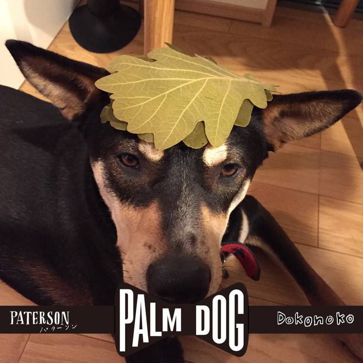 A0a131ed 7d0b 4705 800d d317a44b1b59