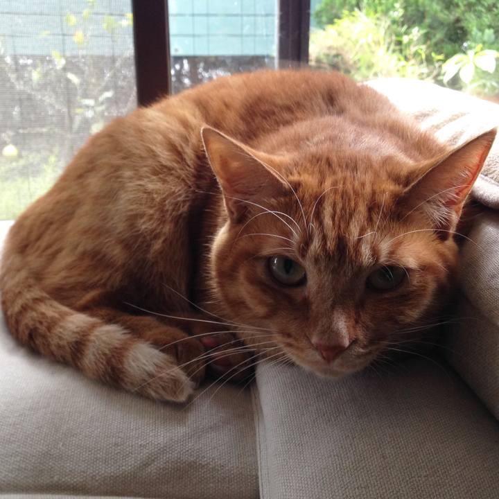 A0a14cab 9499 4f5d be7b 95941c231f13