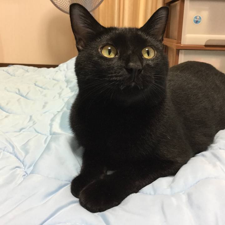 A0a1e560 a426 4739 b6a4 415582d75259