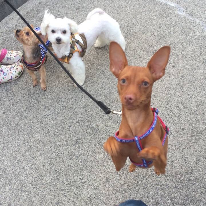 A0a1e59b 96da 4d5b 8279 c8951c613c1f