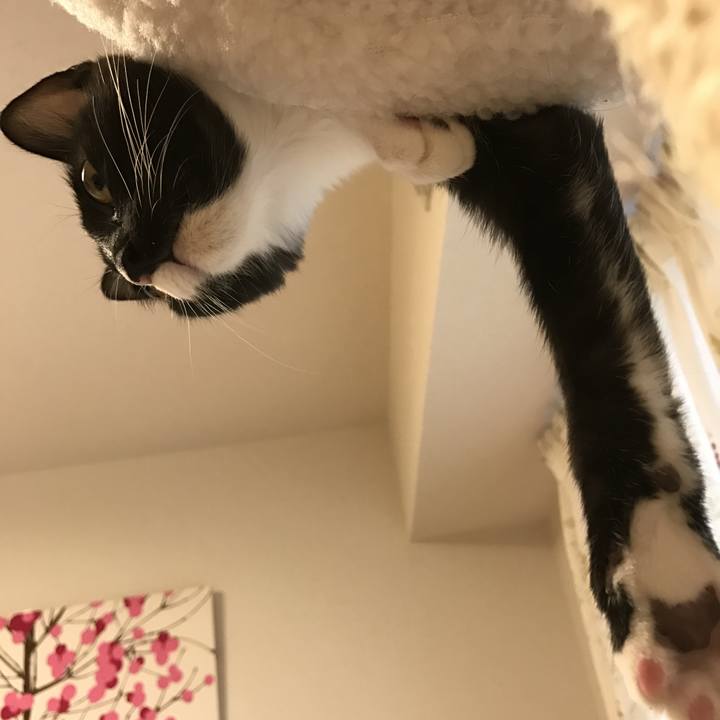 A0a1fa68 92bd 4f9b b5ea 04af12aaa869