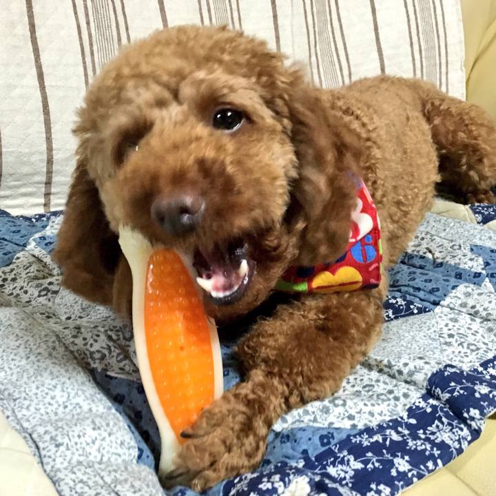 A0a2be9a 65fd 479d ae64 eae1d694a11c