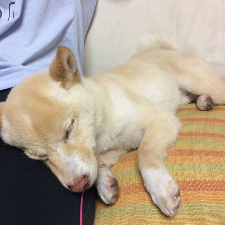 A0a33962 43b1 4365 8106 14a1057f53cb