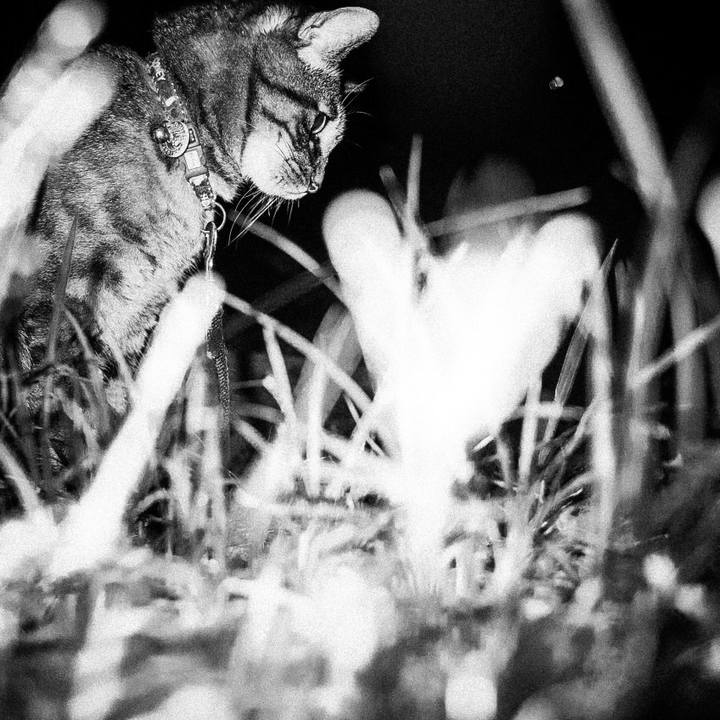 A0a33a44 9822 4101 bb00 eae6f406d2fc