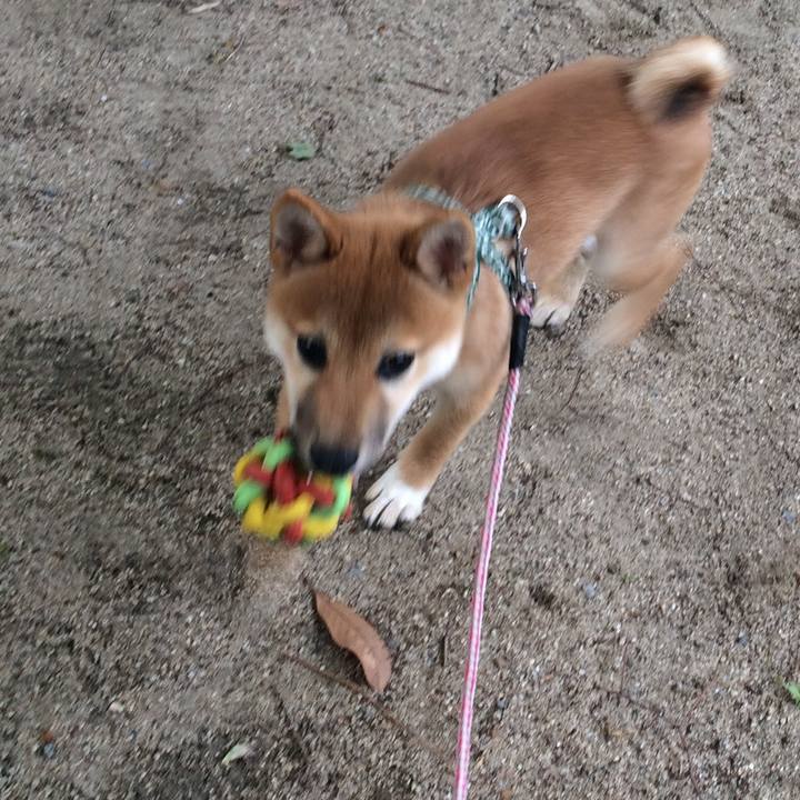 A0a3d7e2 ecc7 4bd5 abb0 c4cae02de29d