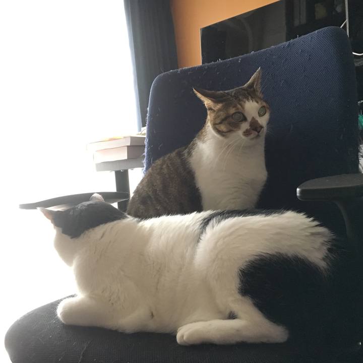 A0a4f8c6 6e66 4a79 801c 5b92362b3a63