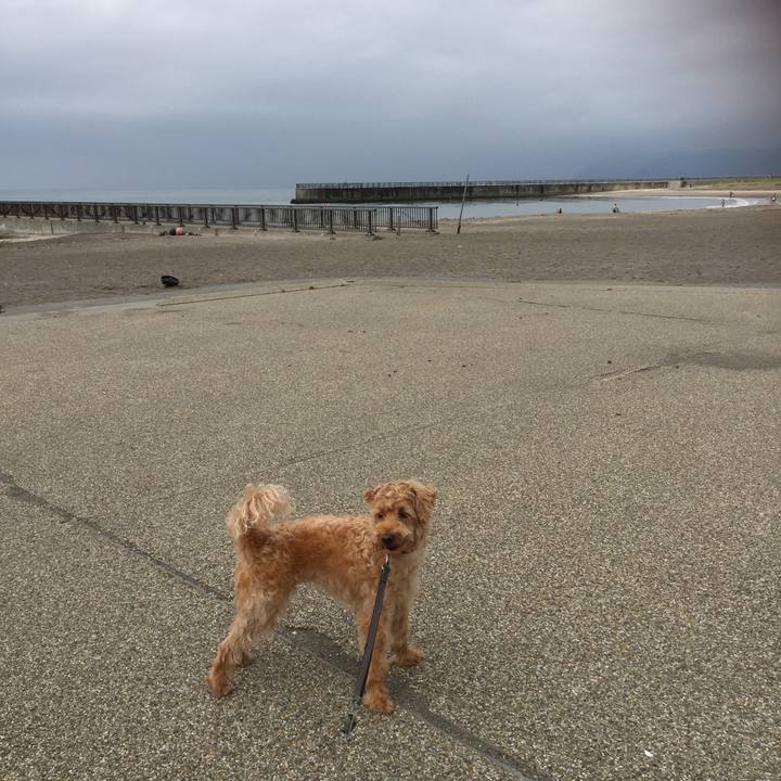 A0a54354 e6de 4ef4 8d5f fb69a6bd27ab