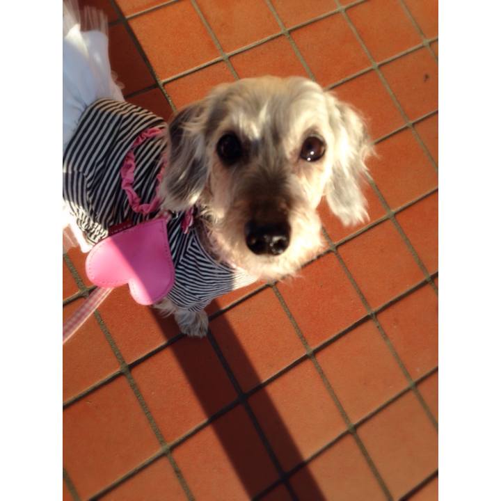 A0a5511e 7c27 4df2 8f1f 3d9aeac8197e