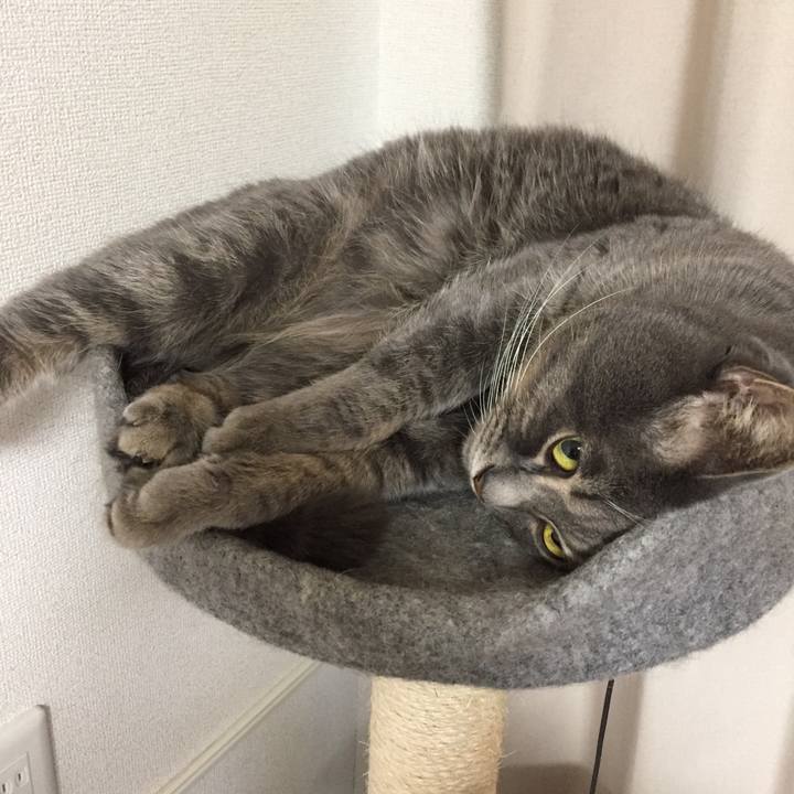 A0a66357 b4ca 4536 8f44 1a7ae2a3ee68