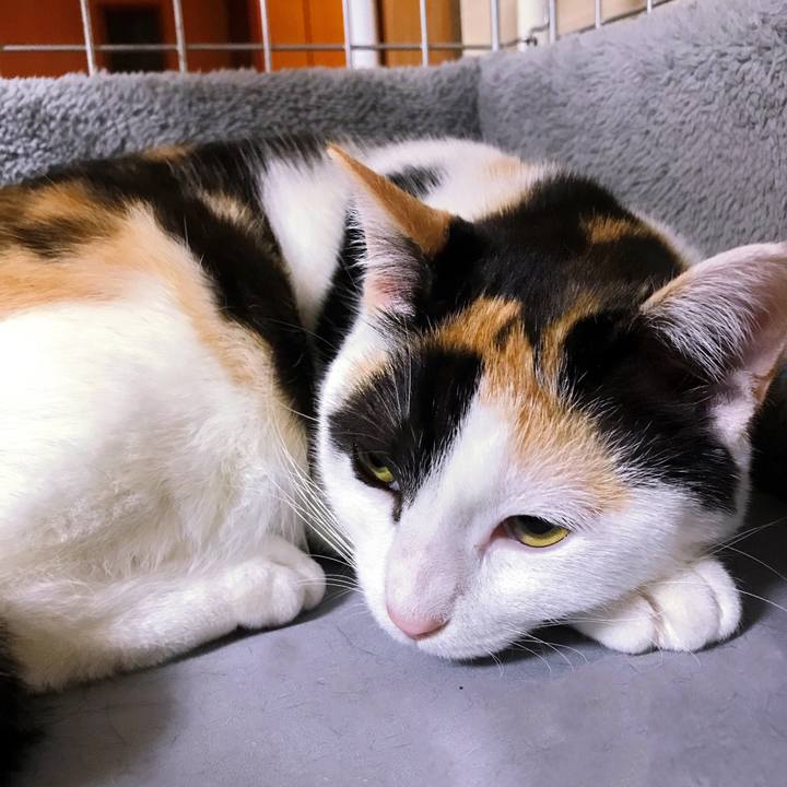 A0a781e8 aa9c 460a bc82 50a5a921a070