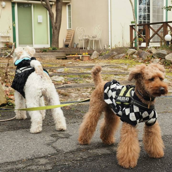 A0a7e842 02de 4fb4 9aba 15a092baa977