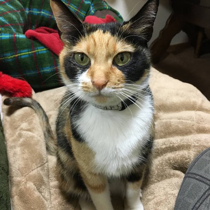 A0a84340 95e8 4806 8611 5ebadc087df8