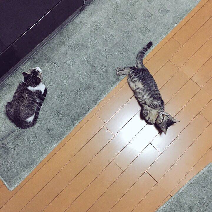 A0a86571 49a3 4845 9b63 8b80f3a46b7e