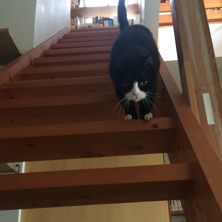 A0a8adee 7a0b 4131 9f58 24f82ce85831