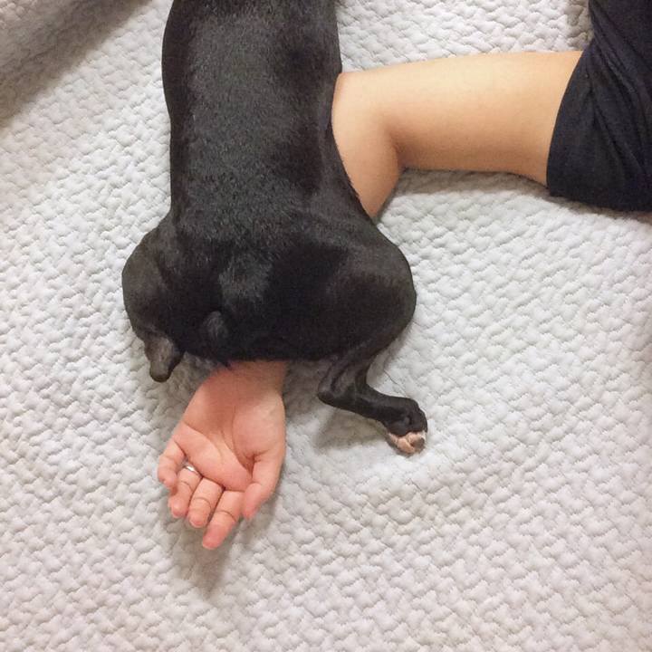 A0a8d9ce 8b5d 4a06 a8ac 580b97b21475