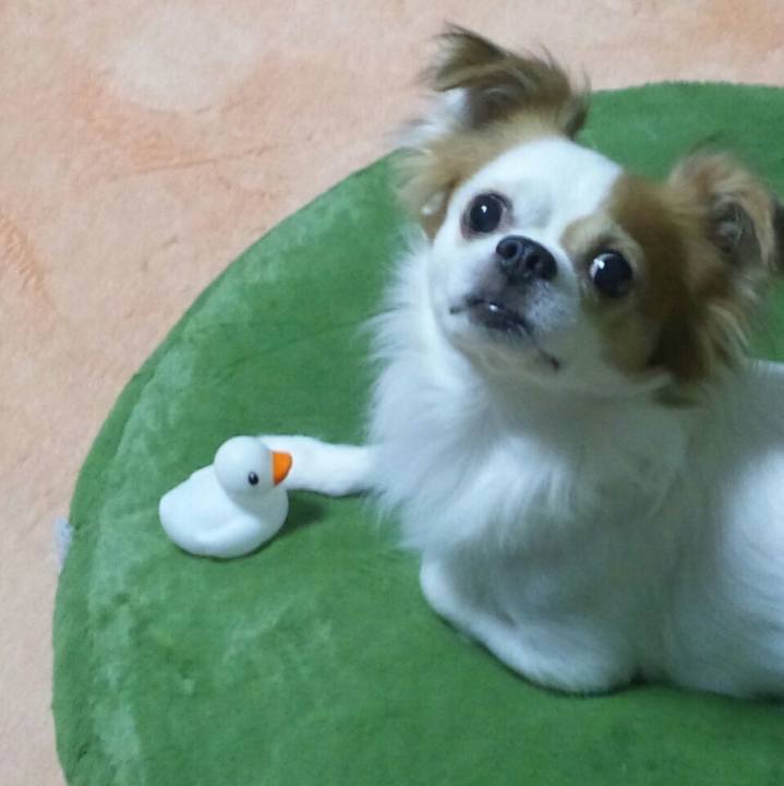 A0a94d56 d223 41e3 948d a40751df6164