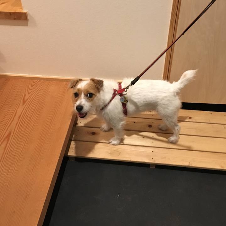 A0aac99c 67a9 4039 b5ae 6172aaf39280