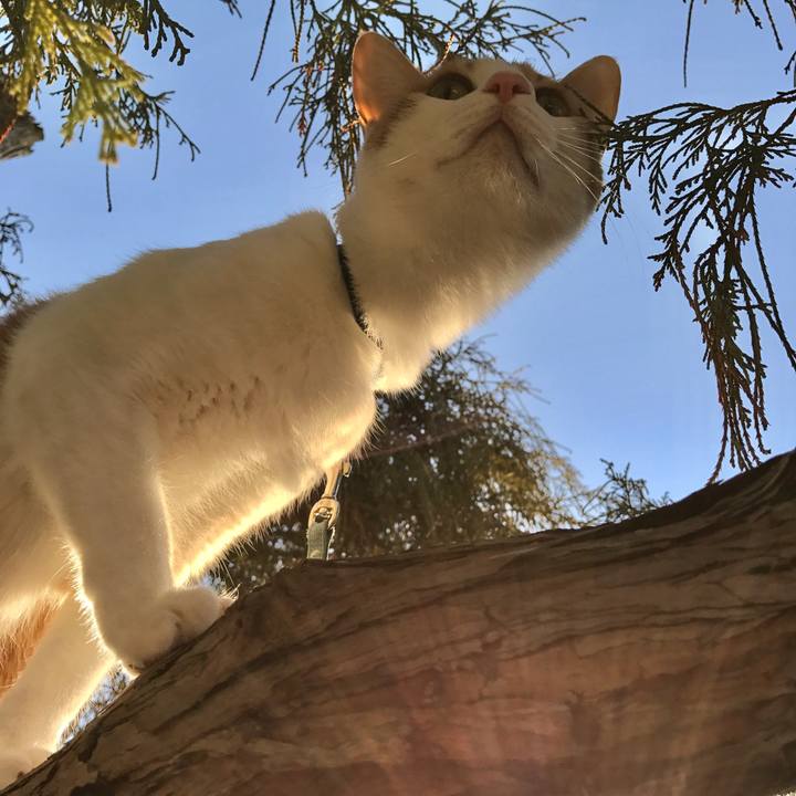 A0abfb90 61d1 48a9 96e3 5954fe15501a