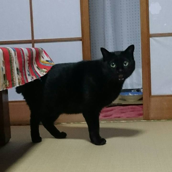 A0ad50d6 5430 443c aa86 2344fd8a8392