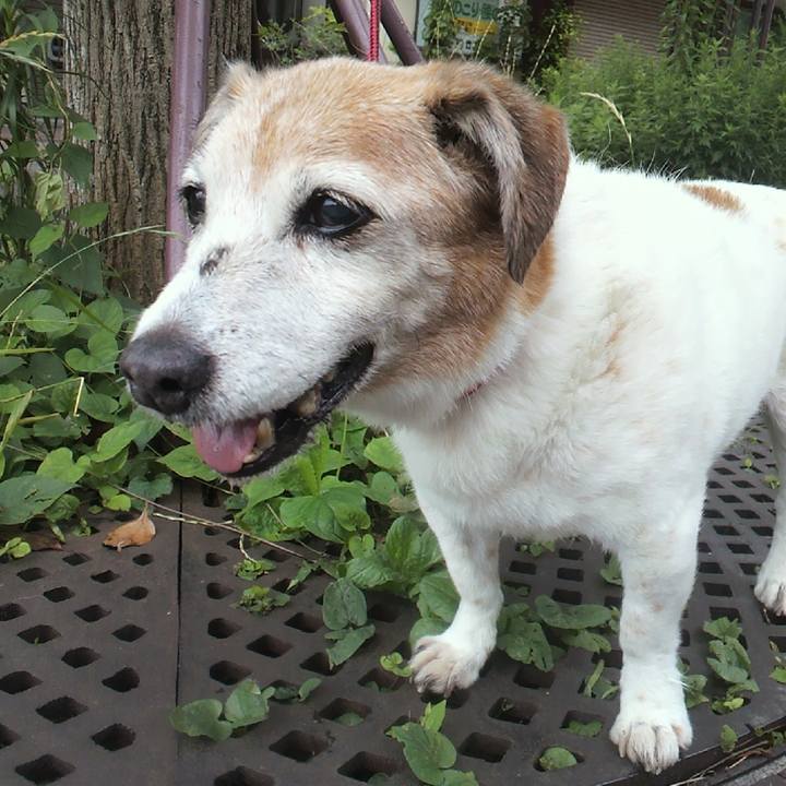 A0ad608b f47d 4117 a0a3 b7e5ea62e053