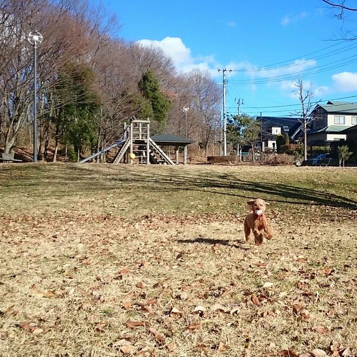 A0ae14db a34f 4b30 bfcd 2dceca0bb15c