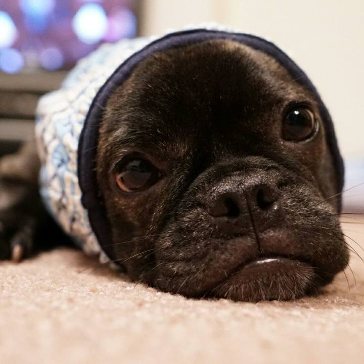 A0ae517a 3c2b 4ff4 a47f 5dacb75c256c