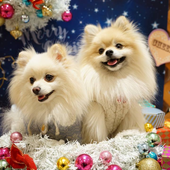 A0aeec9d d8ef 44b4 bbc8 b77d3e646ee7