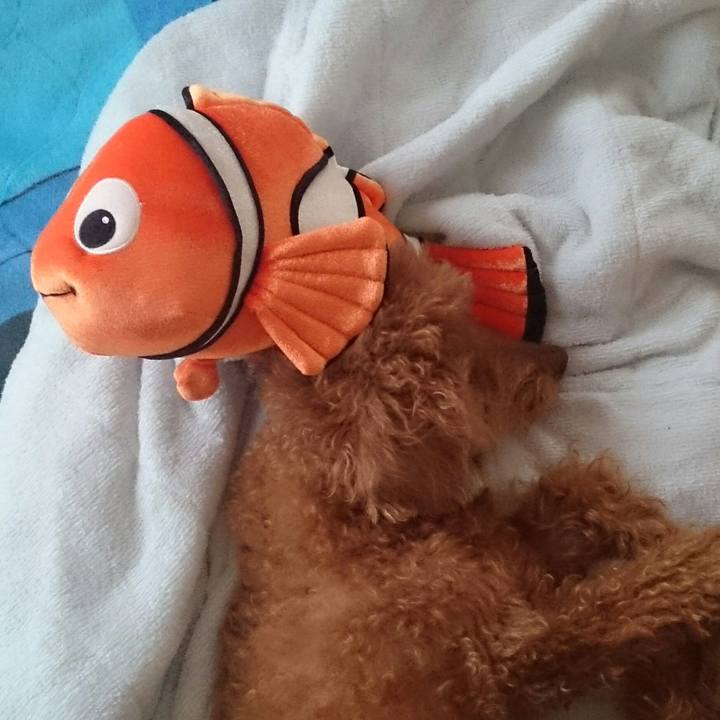 A0aeef2e c3cd 4118 8f64 5c791f799dd3