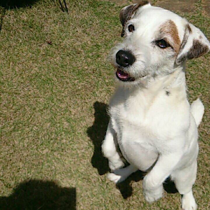 A0afe873 62a6 438d bc87 17d1c4ae2884