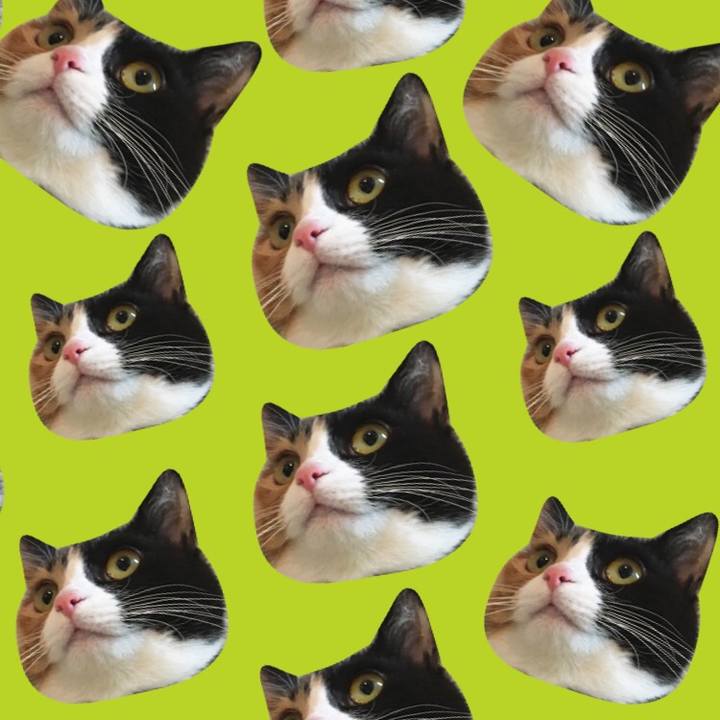 A0b01102 97e1 4e41 8b2c 301ebd9de4f0