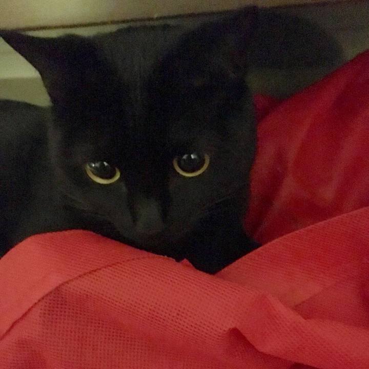 A0b0478b c73b 43a2 a3de 7c30ba302ce5