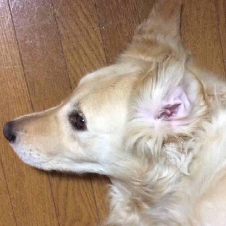 A0b0552b 6a8f 4672 ab33 b340f2127a37