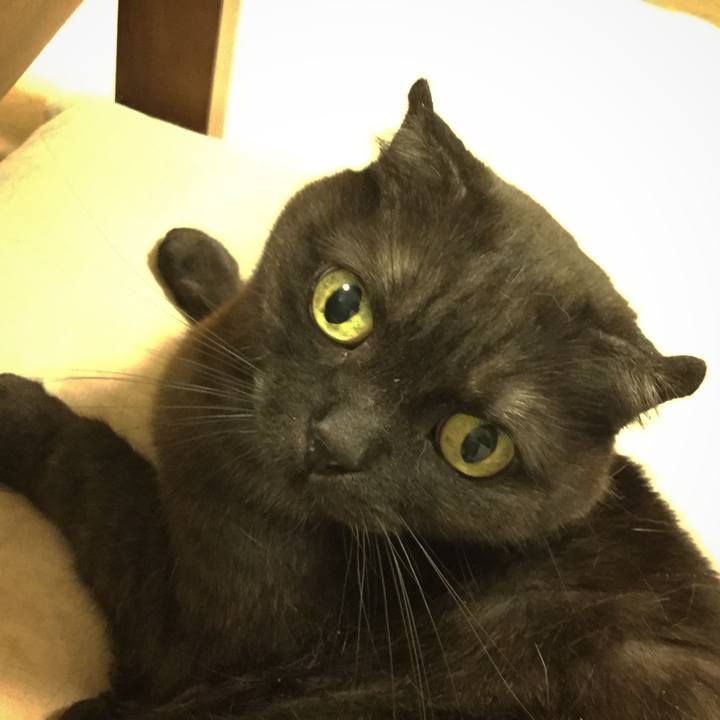 A0b07a49 2537 4d65 a336 0be0079a6f21