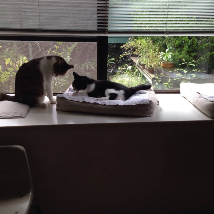 A0b0db4d 7146 400d 9136 2b16a9a97c50