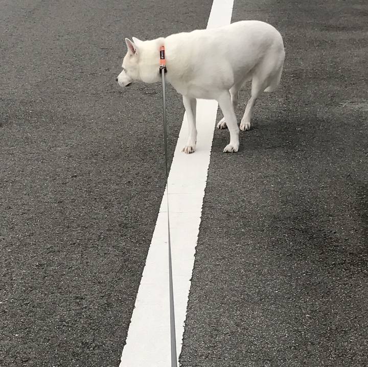 A0b1df3c 1c9f 4949 bbca da3b29853dcb