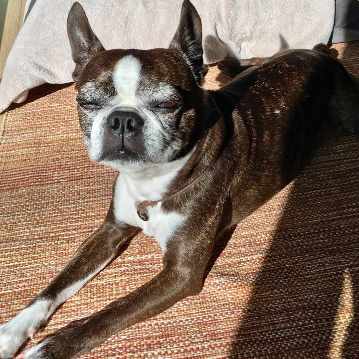 A0b1e43a 3f01 4035 8b0e a952279072f3