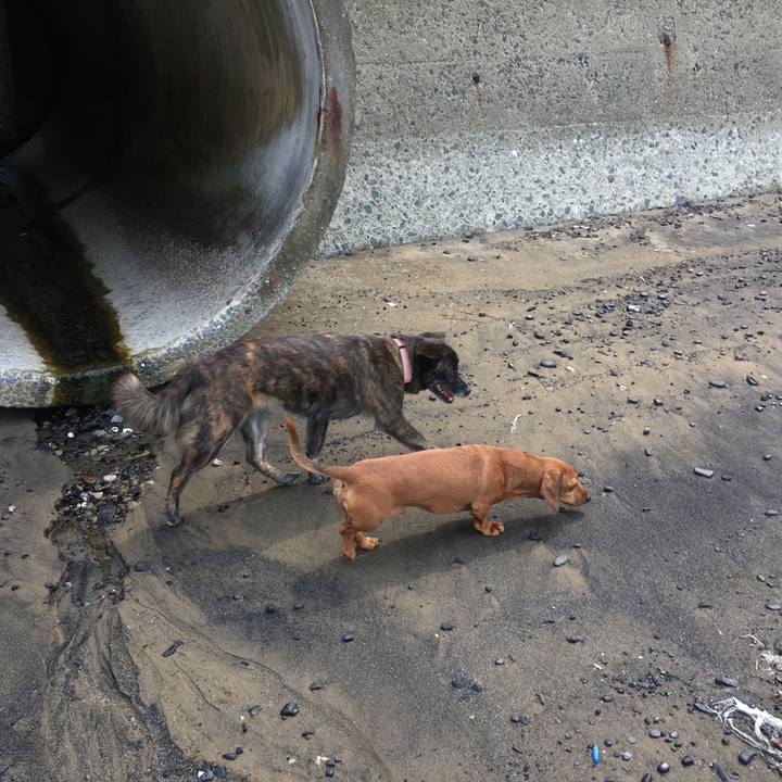 A0b313dc 7cb1 4c3a 8dbb ed9b0a0bf7ad