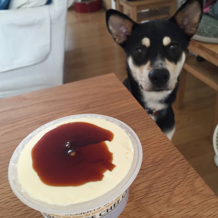 A0b38387 b922 417a 9c8a 0079d386b1a9