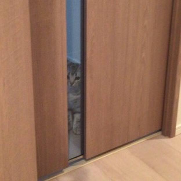 A0b400a7 38db 44ff a074 06b11409c3b3