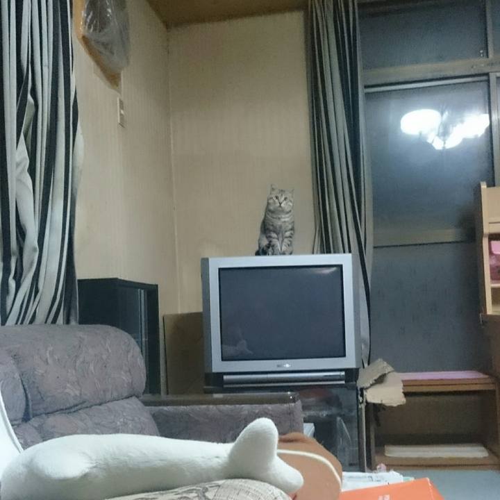 A0b51101 ad2a 4d31 b9ab 0598ab53cbb2