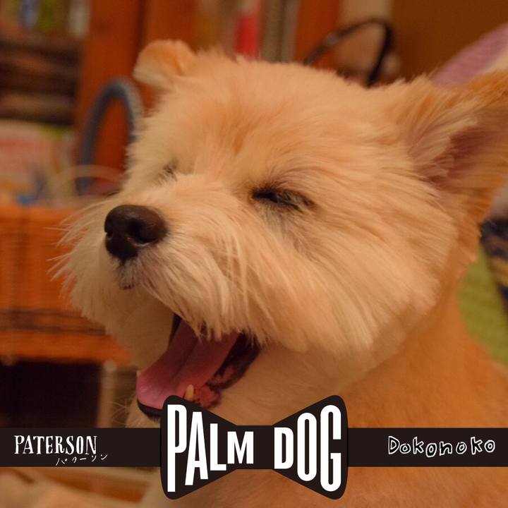 A0b52a17 8d7e 420d 879d 473c594e5cd3