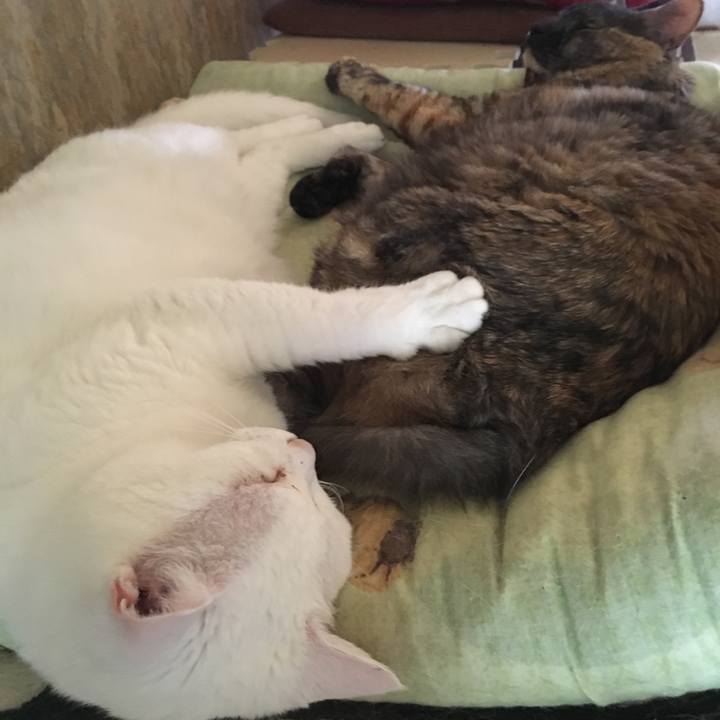 A0b53598 71a8 4a1e ac07 e8a8c3405046