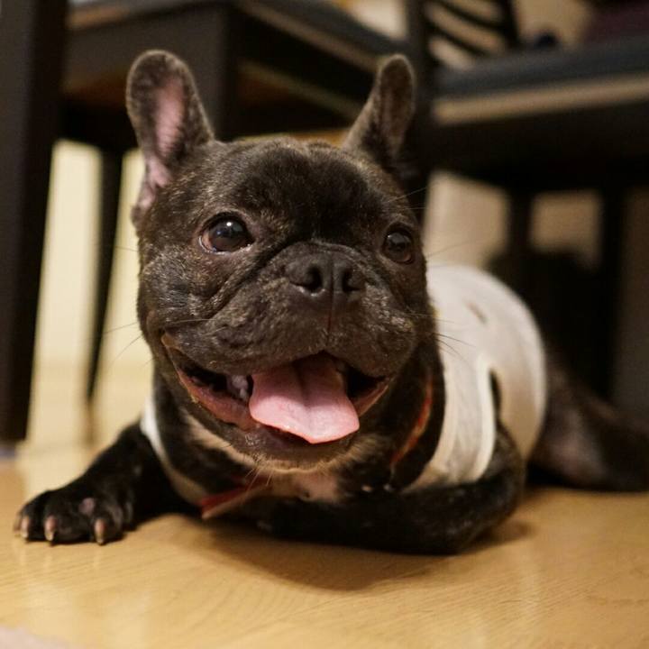 A0b58496 e71f 431c bf4c b39d40a1d69e