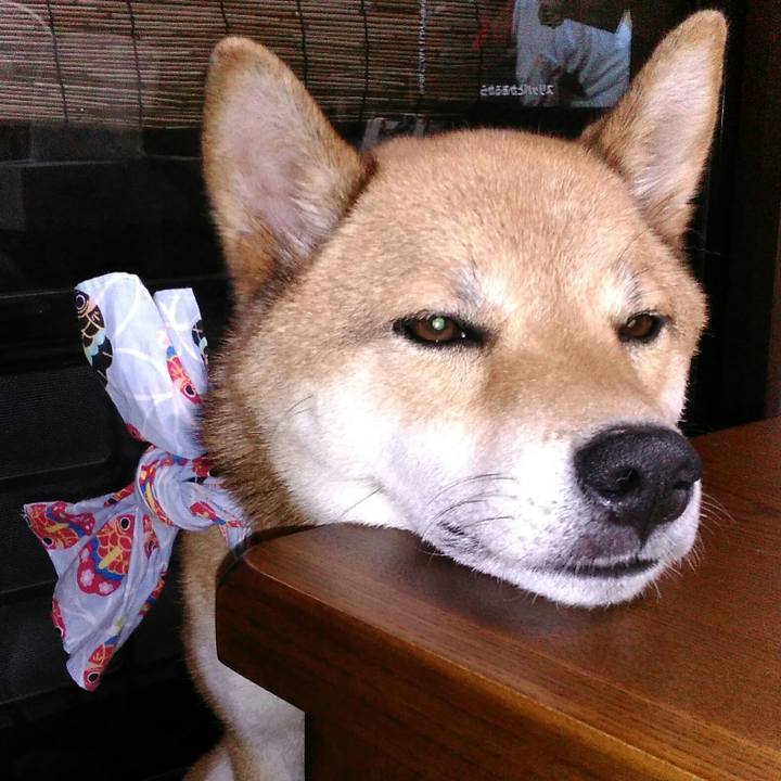 A0b598c9 dd33 452d b7f3 533b200c0932