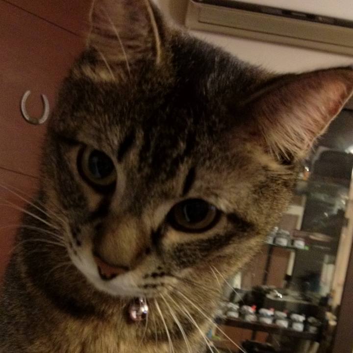 A0b5ec42 975e 48ec bae5 e4cc14899f21